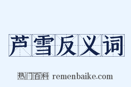 芦雪反义词是什么意思的图片